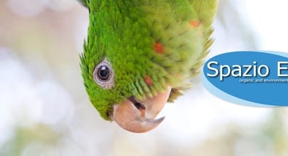 Codice sconto Spazio Esotico