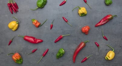 Codice sconto Mister Peperoncino