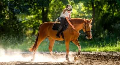 Codice sconto EquiSportMania