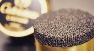 Buoni sconto Calvisius e coupon attivi per Settembre 2020