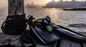 Buoni sconto Suunto e coupon attivi per Settembre 2020