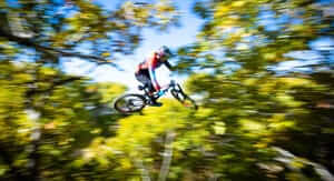 Opinioni Bikeinn