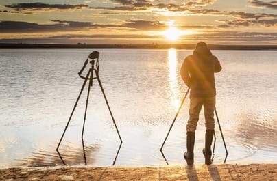 Speciale Birdwatching: fino al 20% di sconto su Manfrotto