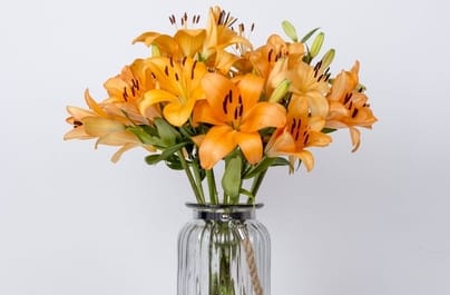 Bouquet fiori da 25€ + spedizione gratis h24