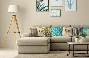 Spedizione gratuita su tutto il catalogo