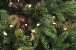 Speciale alberi di Natale 🎄 sconti fino al 40%