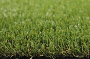 Erba sitentica offerte da 17,50€ m²