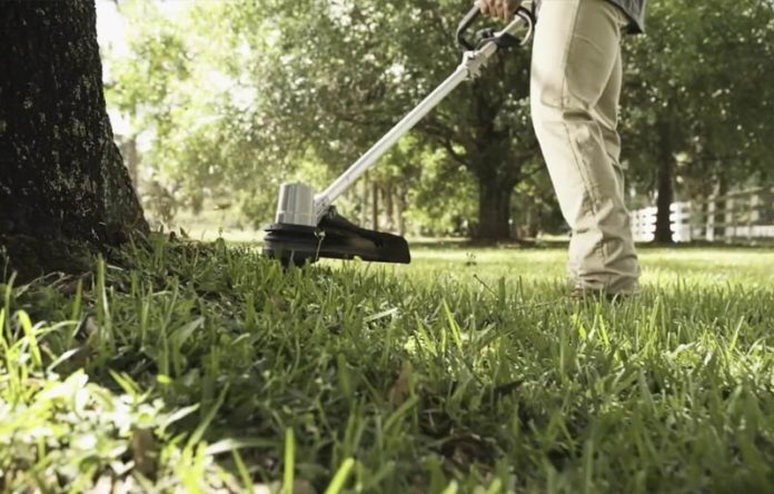 Guida all'acquisto dei migliori decespugliatori a scoppio