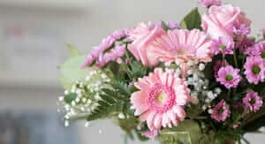 Buoni sconto FloraQueen e coupon attivi per Marzo 2026