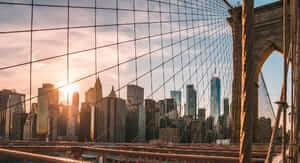 Coupon New York Pass del 5% extra sui pass