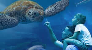 Buoni sconto Acquario di Cattolica e coupon attivi per Marzo 2026