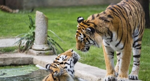 Codice sconto Zoom Torino del 23% con il Tuo Ticket
