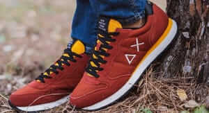 Buoni sconto Kim Accessori e coupon attivi per Marzo 2026