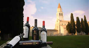 Buoni sconto XtraWine e coupon attivi per Marzo 2026