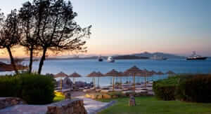 Codice sconto Expedia del 5%