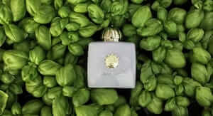 Codice promo Vittoria Profumi del 10% da 60€