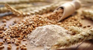 Buoni sconto Tibiona e coupon attivi per Marzo 2026