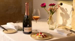 Buoni sconto Svinando e coupon attivi per Marzo 2026