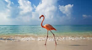 Buoni sconto Lonely Planet e coupon attivi per Marzo 2026