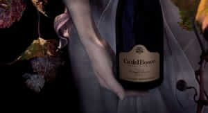 Buoni sconto WineMust e coupon attivi per Marzo 2026