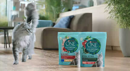 A proposito di Purina