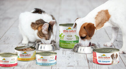 A proposito di Robinson Pet Shop