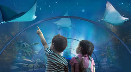 A proposito di Acquario di Livorno