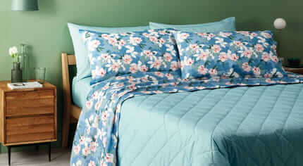 A proposito di Zucchi