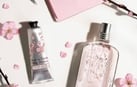 Profumi Donna L'Occitane da 10€