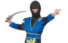 Costumi di Carnevale da Ninja a partire da 15€