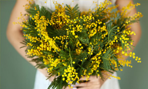 Festa della donna: sconti e offerte