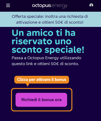 Dove inserire il codice sconto Octopus Energy