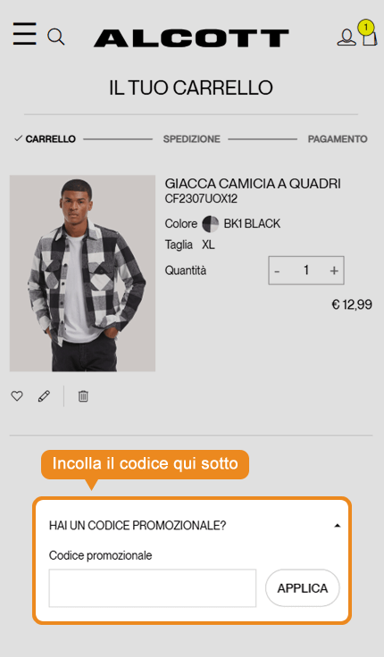Dove inserire il codice sconto Alcott