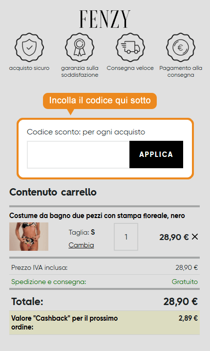 Dove inserire il codice sconto Fenzy