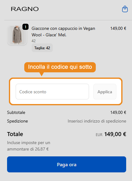 Dove inserire il codice sconto Ragno