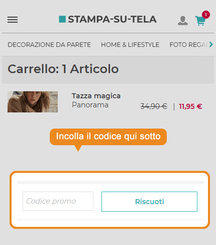 Dove inserire il codice sconto Stampa Su Tela