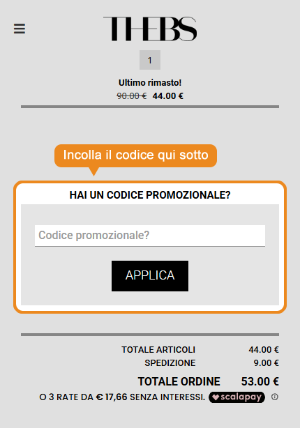 Dove inserire il codice sconto THEBS