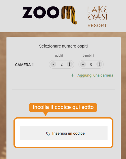 Dove inserire il codice sconto Zoom Torino